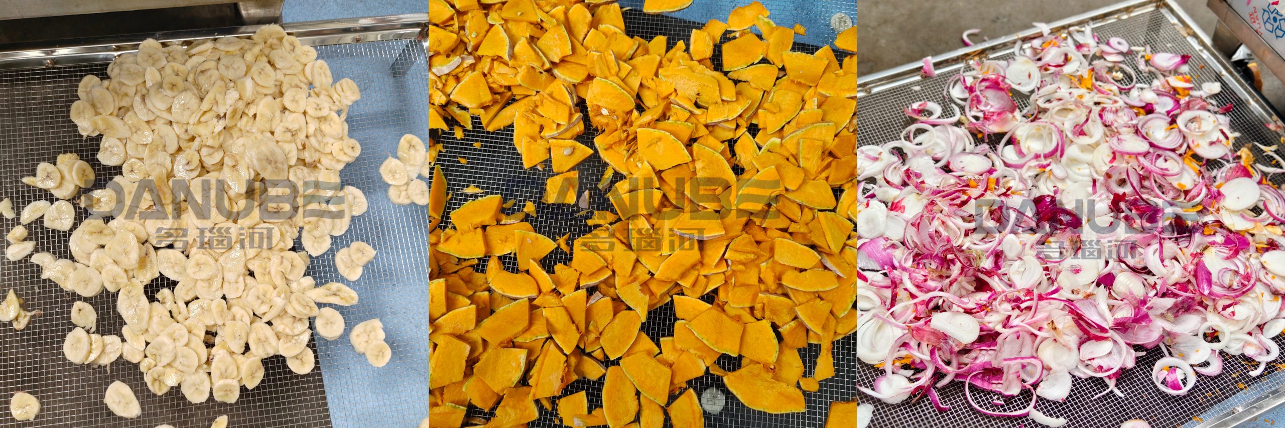 Fruit & Vegetable Slicing Machine