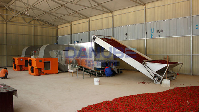 Industrial Whole Red Chili Pepper Drying Project in Indonesia
