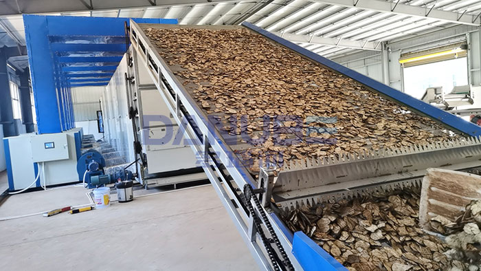 Konjac Slices Drying Project in the Philippines
