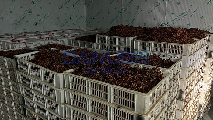Fresh Sichuan Peppercorn Drying Project in Singapore