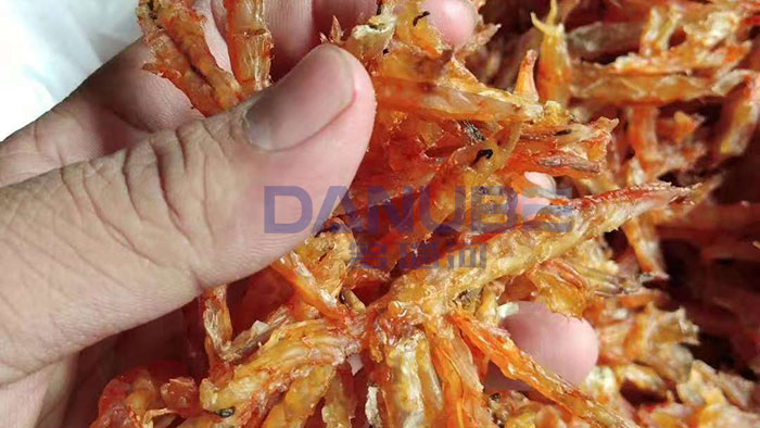 Dried Shrimp Drying Project in Singapore